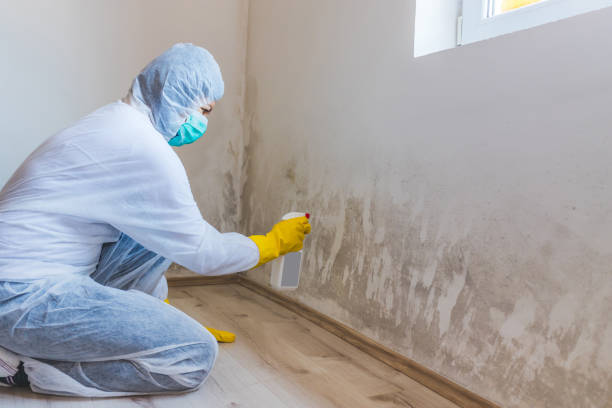 Hvac And Air Duct Mold Remediation inspection of HVAC system in Snohomish